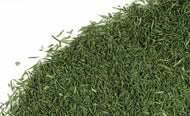 Dill Weed c/s - Stone Creek Health Essentials
