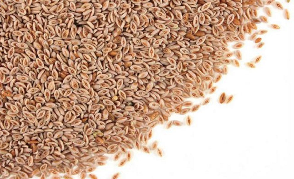 Psyllium Seed Husk Whole; 85% Mucilloid Content - Stone Creek Health Essentials