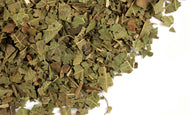 Black Walnut Leaf c/s - Stone Creek Health Essentials