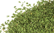 Cilantro Leaf c/s - Stone Creek Health Essentials