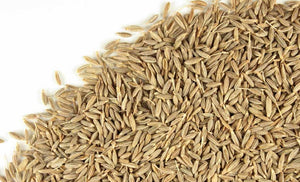 Cumin Seed Whole - Stone Creek Health Essentials