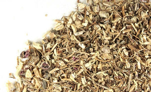 Echinacea Purpurea Root c/s - Stone Creek Health Essentials