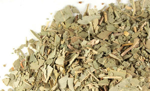 Eucalyptus Leaf c/s - Stone Creek Health Essentials