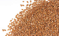 Flax Seed Whole - Certified Organic - Stone Creek Health Essentials