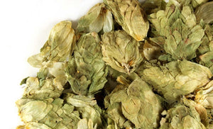 Hops Flowers Whole - Stone Creek Health Essentials