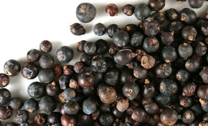Juniper Berries Whole - Stone Creek Health Essentials