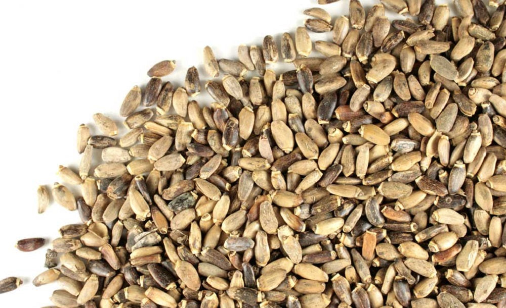 Milk Thistle Seed Whole - Stone Creek Health Essentials