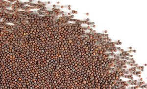 Mustard Seed Whole Brown - Stone Creek Health Essentials