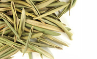 Olive Leaf Whole - Stone Creek Health Essentials