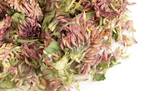 Red Clover Tops Whole - Stone Creek Health Essentials
