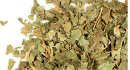 Witch Hazel Leaf c/s - Stone Creek Health Essentials